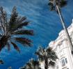 Commercial office CANNES 