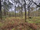 Annonce Vente Terrain Barbaste