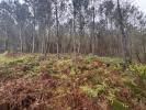 Acheter Terrain Barbaste Lot et garonne