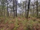 Acheter Terrain Barbaste 48400 euros