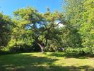 House CHABOURNAY SAINT-MARTIN-LA-PALLU