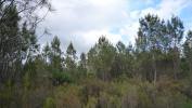 Annonce Vente Terrain Mios