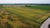 Vente Terrain Neuf-brisach 68