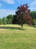 Annonce Vente 5 pièces Maison Ciron