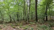 Acheter Terrain Esparros