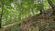 Acheter Terrain Esparros Hautes pyrenees