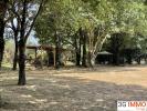 Land PINEAUX 