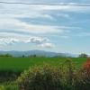 Land CHATILLON-LA-PALUD 