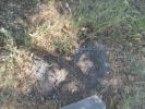 Acheter Terrain Cessenon-sur-orb Herault