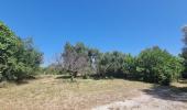 Annonce Vente Terrain Cruviers-lascours