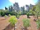 Annonce Vente 5 pièces Maison Grasse