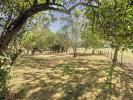 Annonce Vente 6 pices Maison Marciac