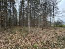 Annonce Vente Terrain Barbaste