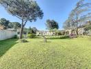 Annonce Vente Terrain Sauvian