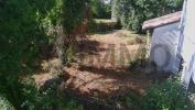 House CAUSSADE 