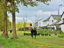 Acheter Terrain Nouvoitou 57204 euros