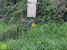 Land MONTVICQ 