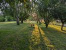 Land ESTILLAC 