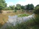 For sale Land Nuille-le-jalais  72370
