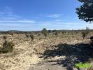 Annonce Vente Terrain Lespignan