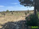 Acheter Terrain Lespignan Herault