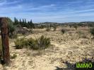 Acheter Terrain Lespignan 34000 euros