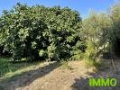 Acheter Maison 182 m2 Lespignan