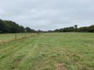 Annonce Vente 2 pices Maison Colpo