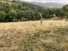 Annonce Vente Terrain Ardes