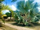 Vente Maison Anse-bertrand 971