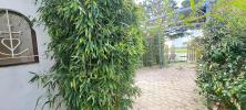 Acheter Maison 63 m2 Saintes-maries-de-la-mer