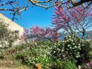 Vente Maison Sete 34