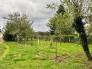 Acheter Maison Yzeure Allier