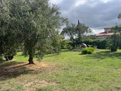 Vente Terrain CERET 66400