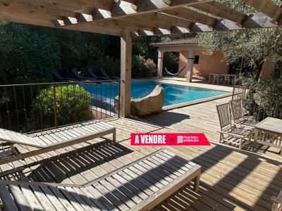 photo For sale House SAINTE-LUCIE-DE-PORTO-VECCHIO 20