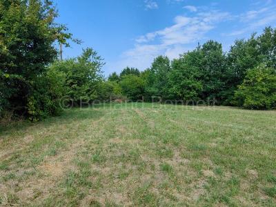 For sale House SAUZE-VAUSSAIS