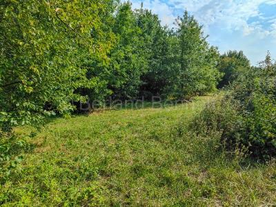 Vente Maison SAUZE-VAUSSAIS