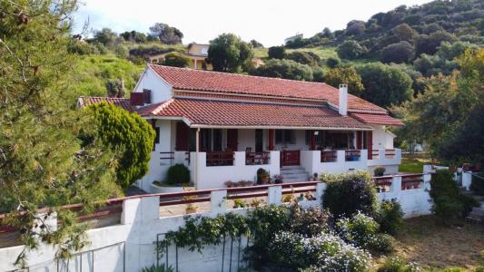 Vente Prestige CUTTOLI-CORTICCHIATO 20167