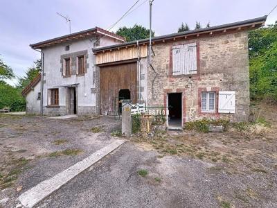 Vente Maison SAINT-SYLVESTRE  87