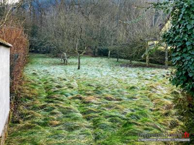 For sale Land CHATENOIS  67