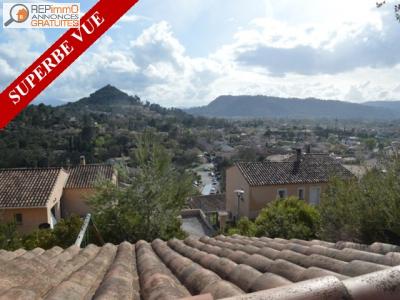 photo For sale House VIDAUBAN 83
