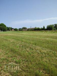 photo For sale Land TOSTAT 65