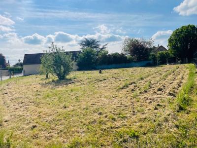 Vente Terrain SAINT-AUBIN-DES-BOIS 28300