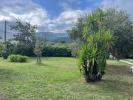 Annonce Vente Terrain Ceret