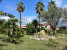 Acheter Terrain Ceret 231000 euros