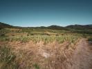 Land  ROUTE DES CHTEAUX CATHAR