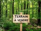 Vente Terrain Beganne 56