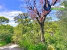 Acheter Appartement Nice Alpes Maritimes