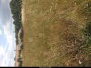 Annonce Vente Maison Avrille