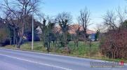 Annonce Vente Terrain Chatenois